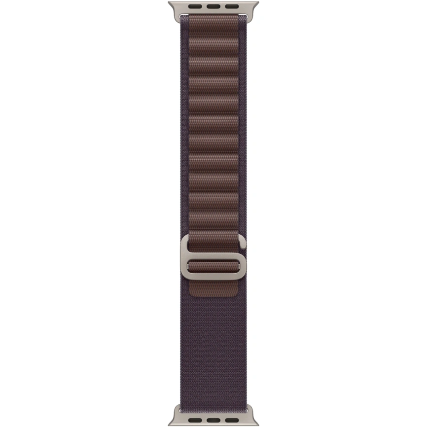 Смарт-часы Apple Watch Ultra 2 49mm Titanium Case with Indigo Alpine Loop S фото 2