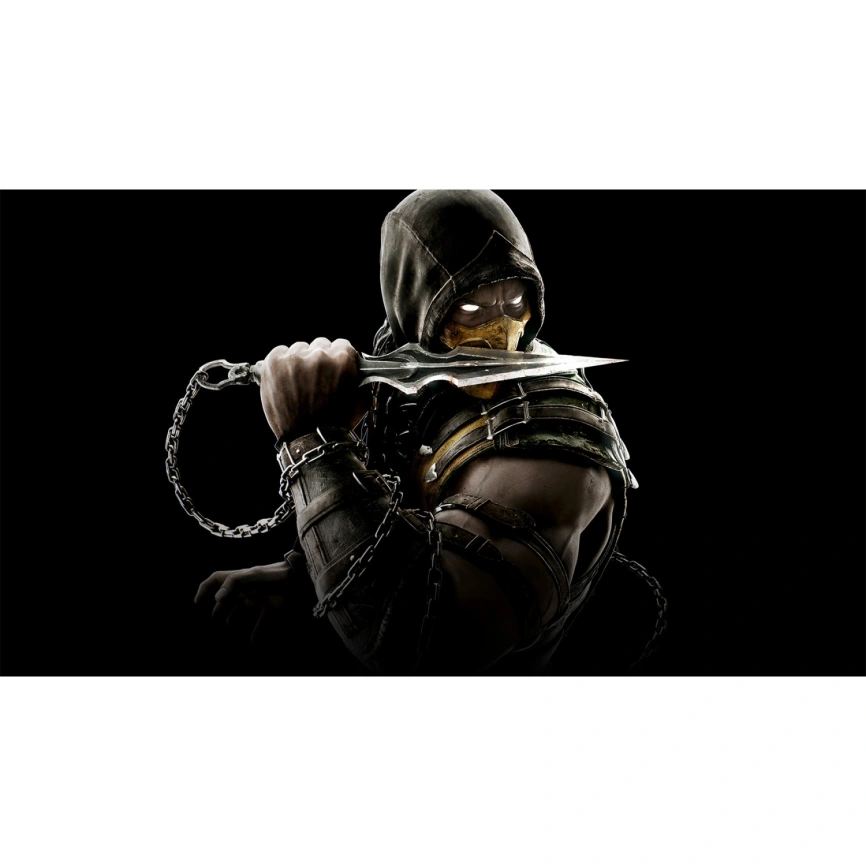 Игра Sony Mortal Kombat XL (Русские субтитры) (PS4/PS5) фото 5