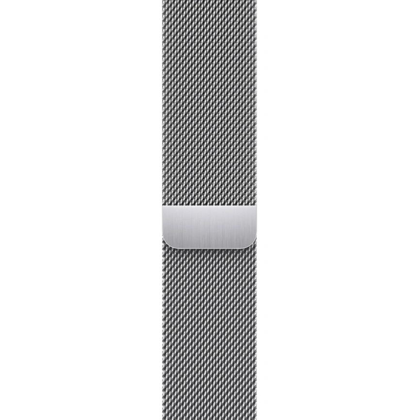 Смарт-часы Apple Watch Series 9 41 mm Silver Stainless Steel Case with Silver Milanese Loop фото 2