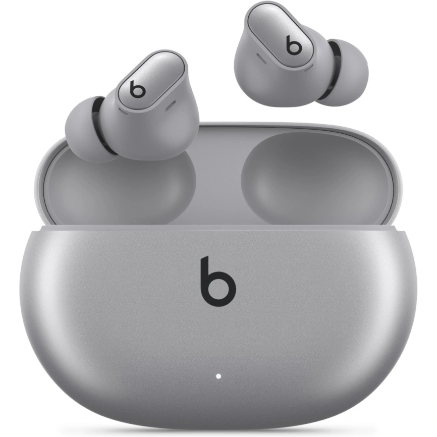 Наушники Beats Studio Buds Plus Cosmic Silvеr фото 1