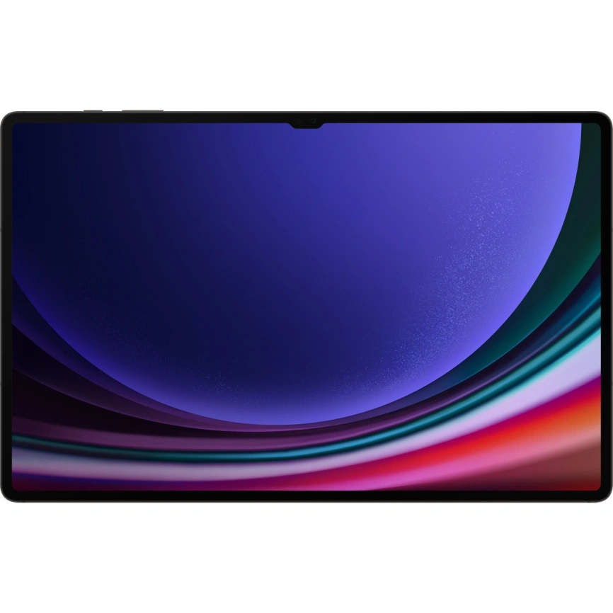 Планшет Samsung Galaxy Tab S9 Ultra LTE 12/256GB Graphite (SM-X916B) фото 6
