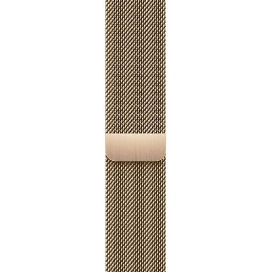 Смарт-часы Apple Watch Series 9 45 mm Gold Stainless Steel Case with Gold Milanese Loop фото 2