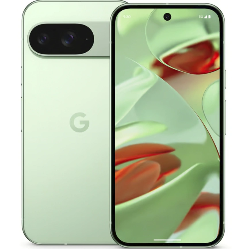 Смартфон Google Pixel 9 12/128Gb Wintergreen фото 8