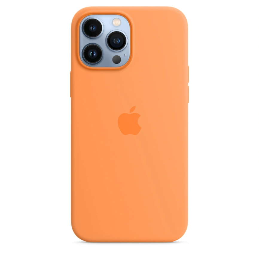 Силиконовый чехол Apple MagSafe для iPhone 13 Pro Max Весенняя мимоза фото 3