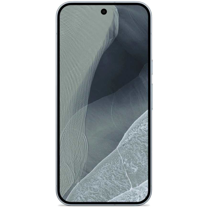 Смартфон Google Pixel 11 pro XL 12/256GB Fog фото 2