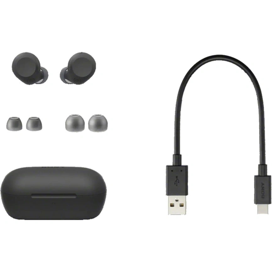 Наушники Sony WF-C710N Black фото 6