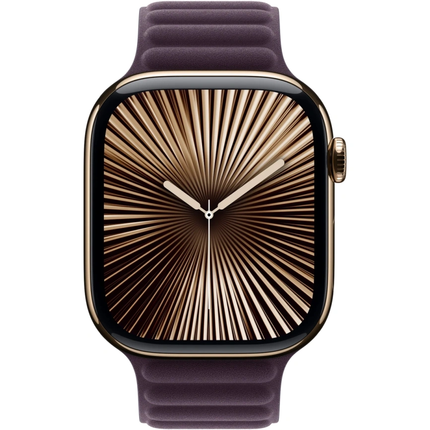 Ремешок Apple Watch 46mm Blackberry Magnetic Link M/L (MXWU3) фото 2